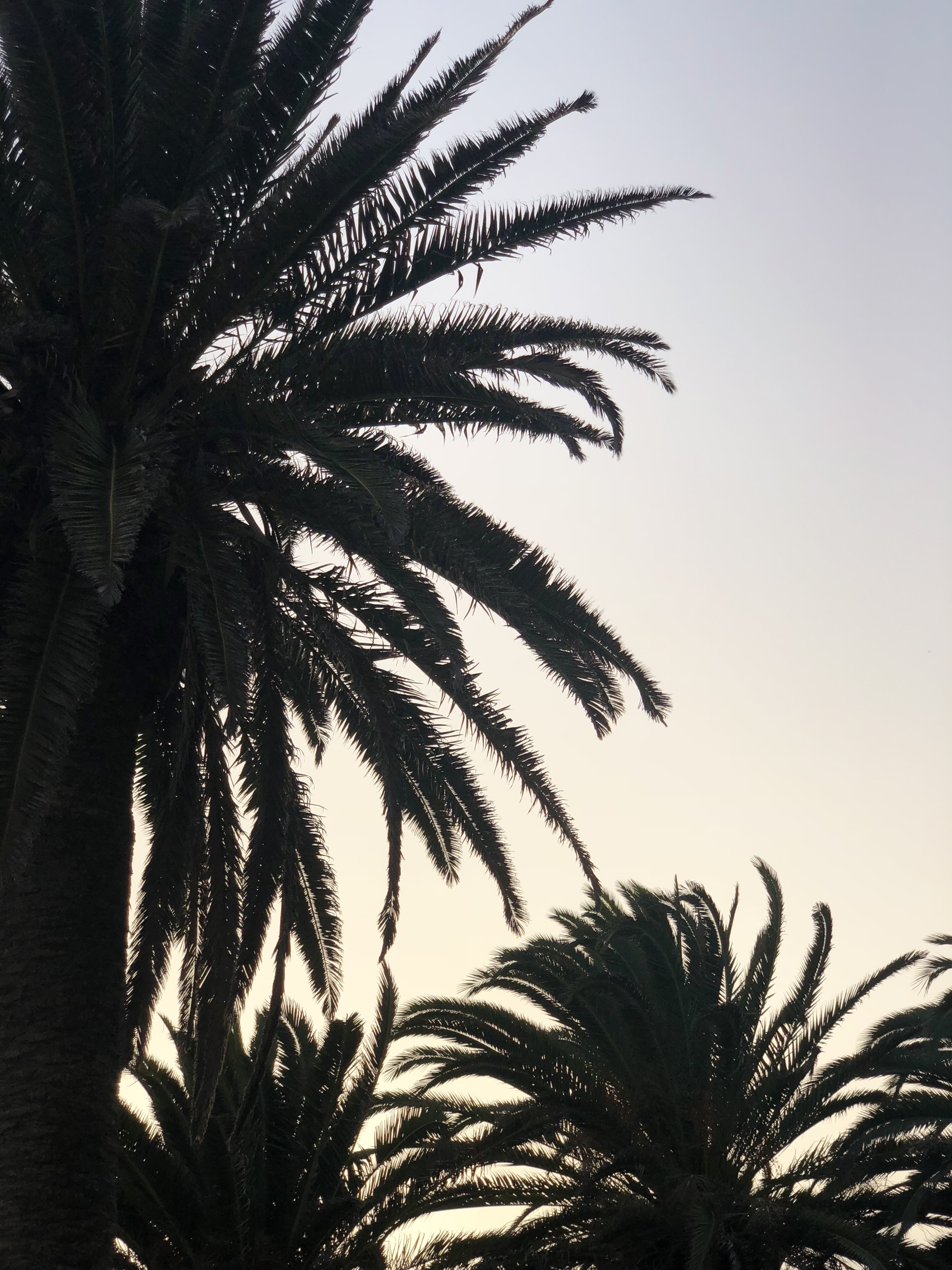Fuerteventura
